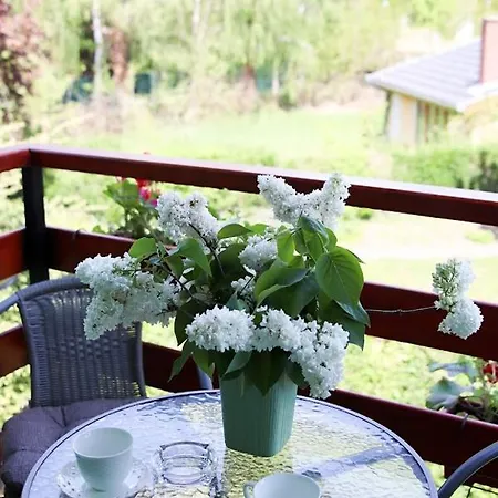 Blue Harmony Apartment Palic